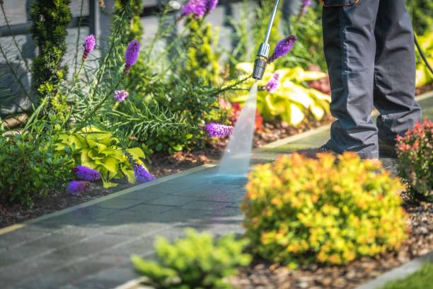 Best Dumpster Area Cleaning  in Fox Crossing, WI
